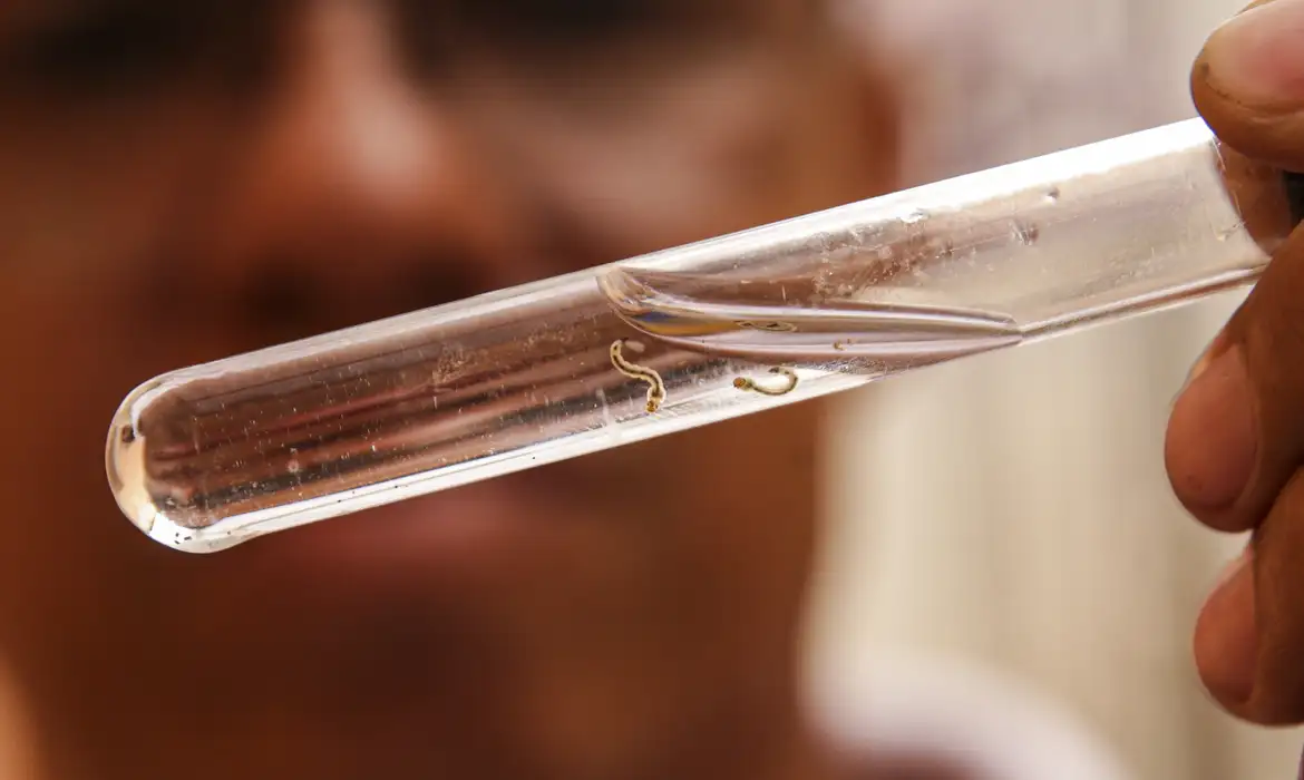 Brasil tem quase mil mortes por dengue em investigação